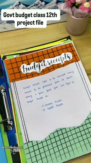 GOVERNMENT BUDGET CLASS 12 PROJECT| ECONOMICS PROJECT FILE #project #economicproject #learnwithpayal
