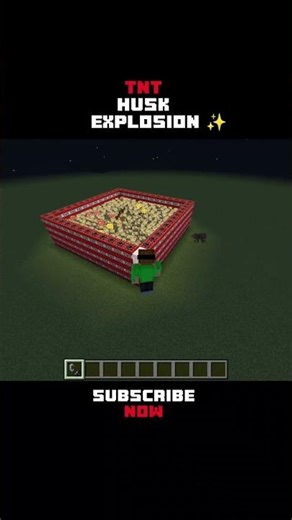 Minecraft TNT Husk Survive Explosion ? 💥✨ #shorts