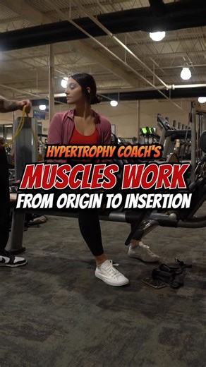 Alistair Bremner - Fitness/Bodybuilding Coach on Instagram: "Hope this helps 👌 Any questions feel free to dm me 🫡"