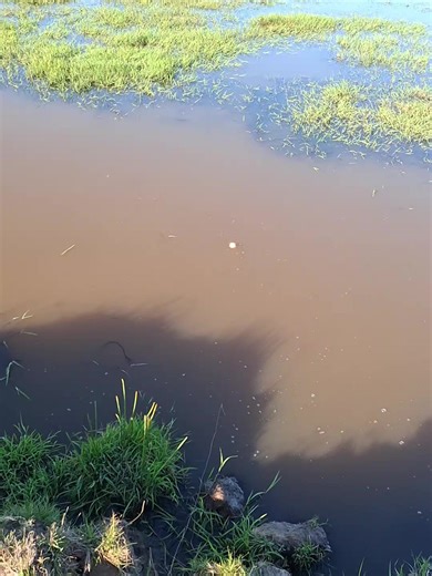 Robinson Gonzalez (@robinson.1976)’s videos with sonido original - Robinson Gonzalez