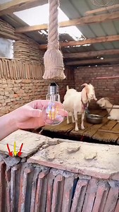 #shopee ￼Câmera wifi ip sem fio giratória 360 com encaixe lampada bocal rosca ptz full HD visão noturna segurança | Lojaonline Shopbr