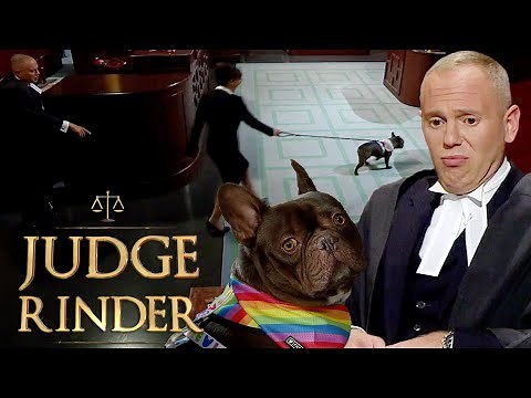 'Come Back!' Floor Destroying Dog Rejects Judge Rinder & Causes Chaos In Court | Judge Rinder