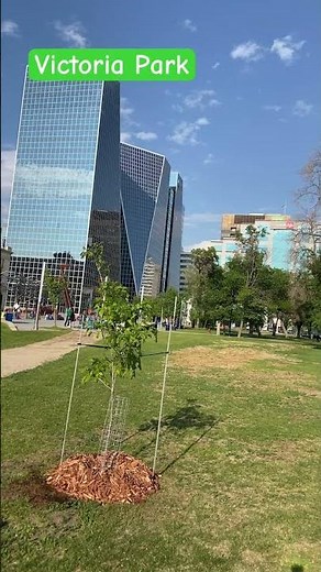 Victoria Park Vibes: Downtown Regina’s Outdoor Gem