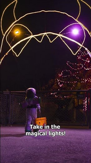 Boo at the Zoo is coming up!