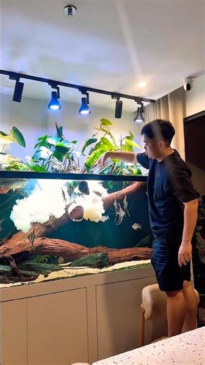 How I Supplement Minerals & Vitamins for Wild Discus | Blackwater Healing Boost #aquarium #biotope