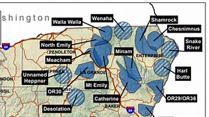 Oregon OKs killing 2 wolves after attacks on livestock