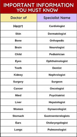 17 Types of Doctors and Their Specialties You Must Know | Medical Specialists List