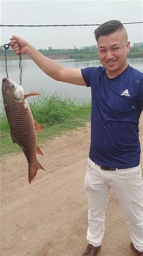 👍 Cá Chôi cũ Hồ Câu Lò Gạch ạ 🥘