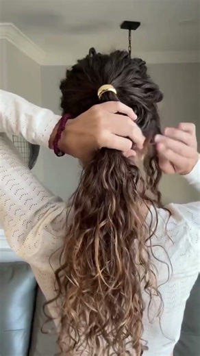 Simple volume low ponytail #hair #hairstyle #shortvideo #curlyhair #wavyhair