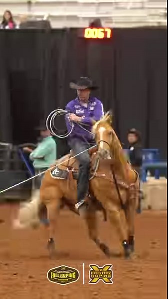 Rhen Richard and “SJR Diamond Bond” are the 2024 Fall GBF 6 & Under Heading Champions presented by Metallic Cat! The 2018 gelding is sired by “CD Diamond” out of “Arc Its Go Time”. Up next is the 4 & Under Heeling futurity. Be sure to tune in on X Factor Roping or the Cowboy Channel app. | X Factor Roping