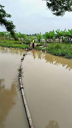 Sampah di aliran irigasi Kaliwedi #shorts #kaliwedi