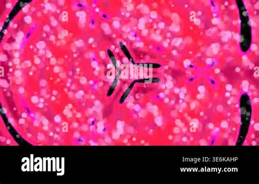 abstract pink bokeh background with blurred lights and dreamy atmosphere Stock Video Footage - Alamy