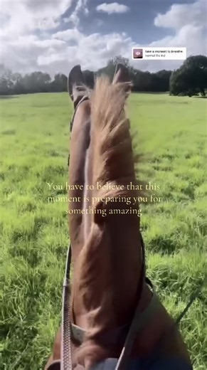 Wise words✨#horsesoftiktoktok #fyp #foruyoupage #trending