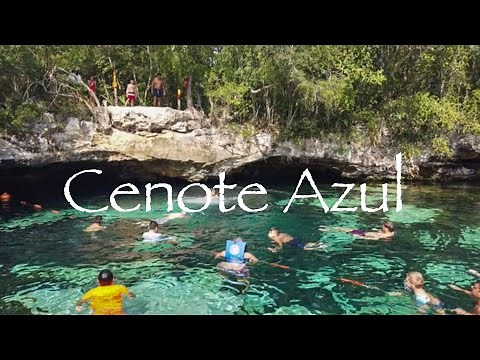Cenote Azul Riviera Maya Mexico Quintana Roo Playa Del Carmen