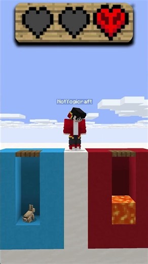 BLUE or RED, Where is the RABBIT Yogicraft💀