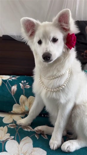 maska lagao Na#Love#song# YouTube#viral#video# #viralsong#like#subscribe