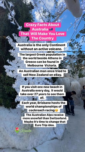 Crazy Facts About Australia 🇦🇺 | Rosalie Labrador Munro