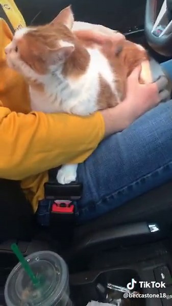 My husband came to pick me up from work and brought my baby 😭😭😭🥰🥰🥰#foryou