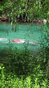 428K views · 3.2K reactions | A mermaid seen swimming up a river ...