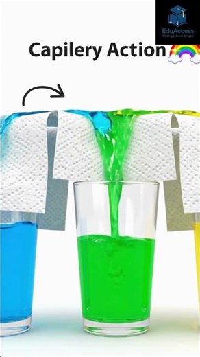 Walking Water Experiment | Walking Water Science | Capillary Action