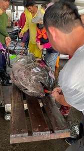 Taiwan’s Biggest & Busiest Bluefin Tuna Market—Must See! 🐟🔥💰 #TunaMarket #seafood | Go Travel 愛七桃