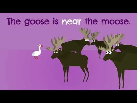 Scratch Garden Educational Videos & Songs LIVE!