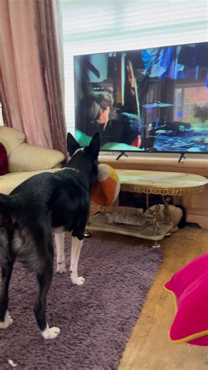 Barney watching the classic,War of the Worlds #reaction #react #waroftheworlds Part 3 | Stephen Kelleher