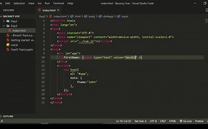 Vue.js Step by Step || Vue.js分步指南（完结）
