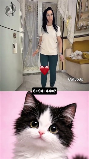 You laugh, you fail 13🤣#cat #funny #viral #reaction