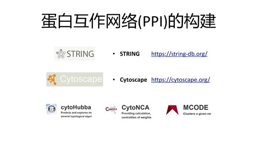 网络药理学——3. 蛋白互作网络(PPI)的构建