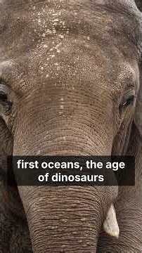 Why Earth is a Miracle of Evolution ✨ #earth #science #space