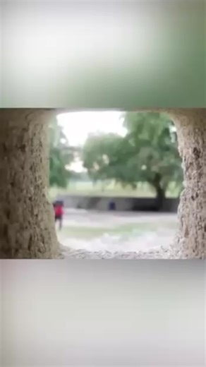 @Selena @Bijou Ricardo @Bianca star⭐️🇫🇷🇭🇹 @Big Drip 💧THOR PROMO 🇺🇸💸 @tatie-merano-de-new-jersey🇺🇸 @welele_1804 @FIRE🔥🇺🇸🤴 @Trescool Mr Gouyad la ♑️❤️🐍 @kettly 2020 @Tatie Mendel