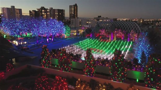 176K views · 2.3K reactions | For four decades, Denver Botanic Gardens has transformed for the holidays with a mile-long path through immersive displays. | 9NEWS (KUSA) | Facebook