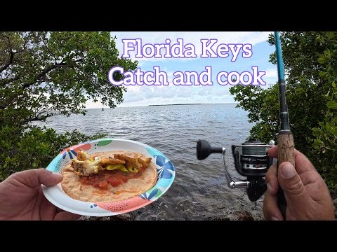 Mangrove Snapper catch and cook in Florida keys.