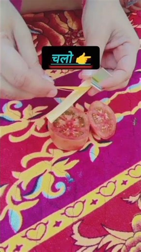 चलो देखते हैं 😀 टमाटर का पीएच मान 😯😀👉👉#science #schoolproject #ph value #viral