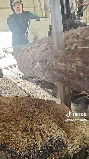 Mastering the Bandsaw in Woodworking