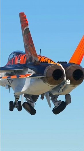 The Most Satisfying Gear Retraction