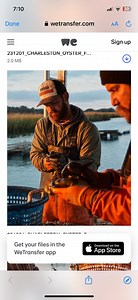 Premium Oyster Shells From Sustainable Oyster Farm - Etsy