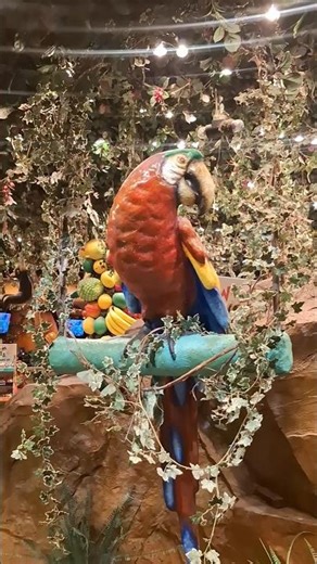 📍 Great Lakes Crossing Outlets – Rainforest Cafe 🌴🦜✨#usa🇺🇸 #RainforestCafe#gujartadka#junglevibes🌳☘️