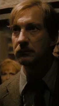 Christmas at The Burrow #HarryPotter #GinnyWeasley #Lupin #Tonks #TheBurrow