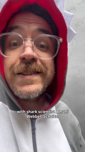 SHARKS ARE SO BACK, BABY! Listen to shark scientist, Amani Webber-Schultz aka @curly_biologist, blow your mind with facts on shark nostrils, ancient sharks, Minorities In Shark Sciences (@miss_elasmo), and so much more on the latest @seejurassicright Back To School series episode. Link in the bio, listen wherever you get your podcasts. | See Jurassic Right