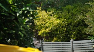 Who has had enough of Mel? 🙋‍♀️ | Neighbours UK