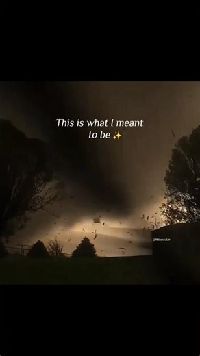 This Weather Feels Amazing… But Also Kinda Scary 🌪️ #StormVibes #WindyWeather #CrazyWeather