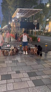 Bark & Explore #fblifestyle | Ajetkulet TV