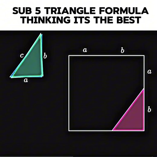 Maths triad with the Pythagorean therom, law of cosines, sine rule, Heron’s formula and SOHCAHTOA || #maths #stem #bpedit #edit #mathsedit don’t flop gang