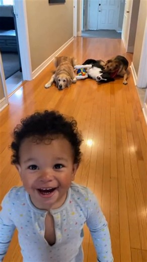 Dogs play along with bowling game! Adorable 😂 | Evan Era