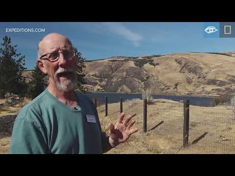 Geological History of the Cascades | Pacific Northwest | Lindblad Expeditions-National Geographic