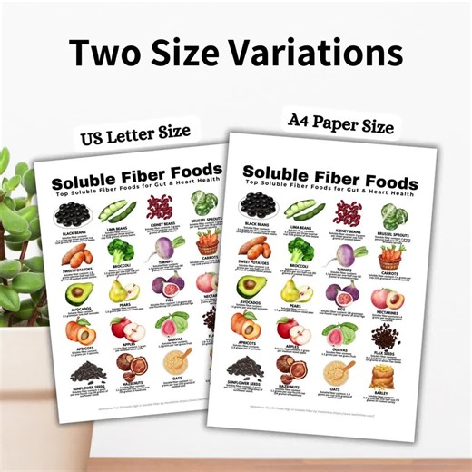 Soluble Fiber Food List for High Fiber Meals Veggies High in Fiber, Cholesterol Lowering High Fiber Foods for Gut Health IBS Type 2 Diabetes - Etsy