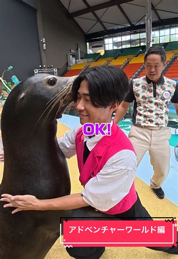アニマルアクションのお兄さんがプロ過ぎたんやけど💫 #ぴーこっく #リポート #アドベンチャーワールド @アドベンチャーワールド公式