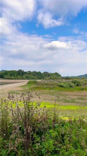 Blue Sky, Clouds & Greenery – Peaceful Water Scene